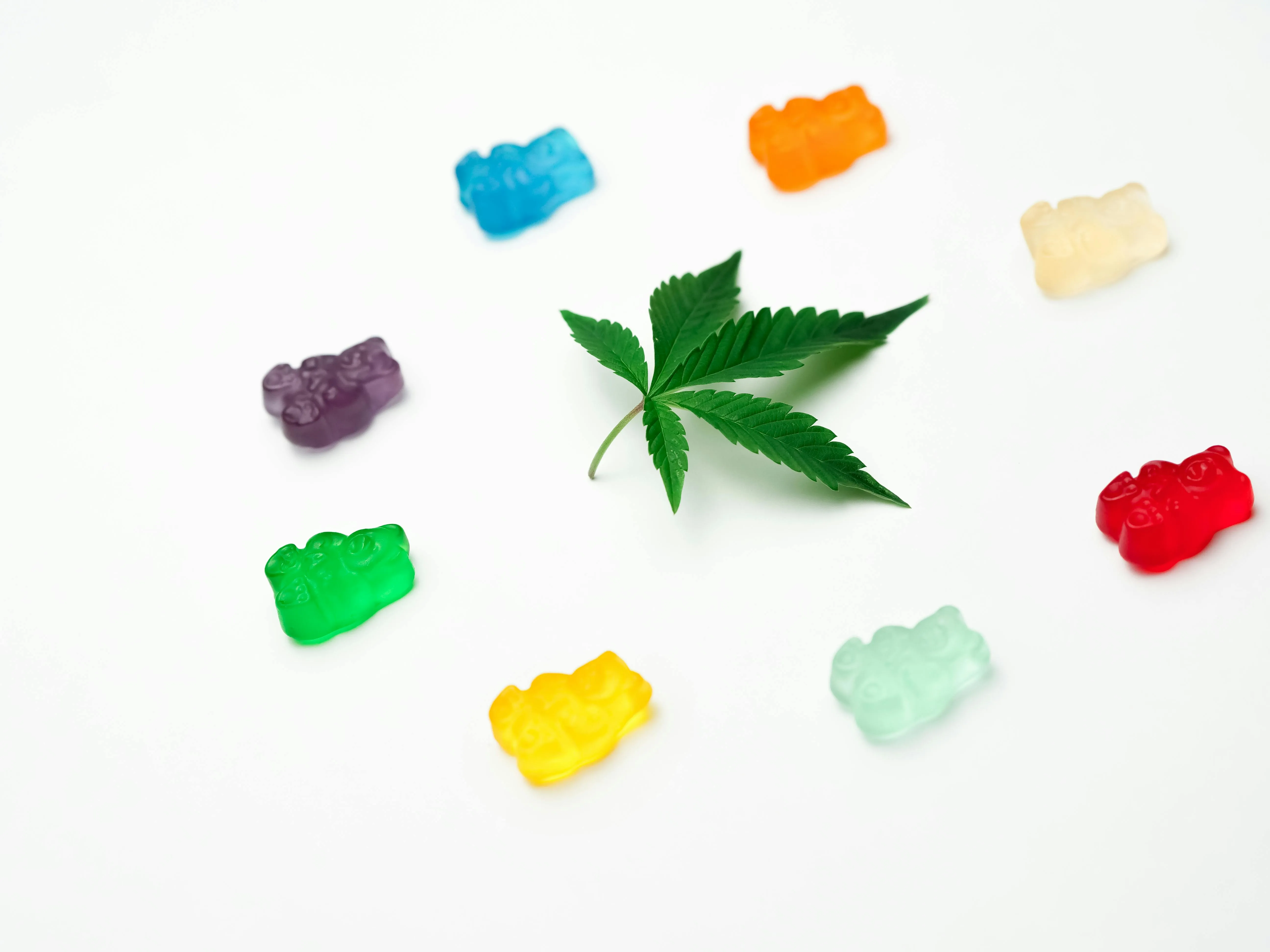 cannabis edibles